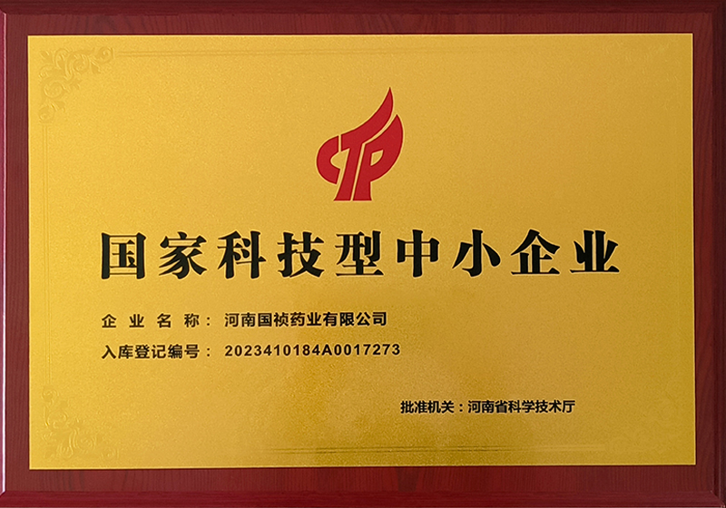 國(guó)家科技中小型企業(yè)